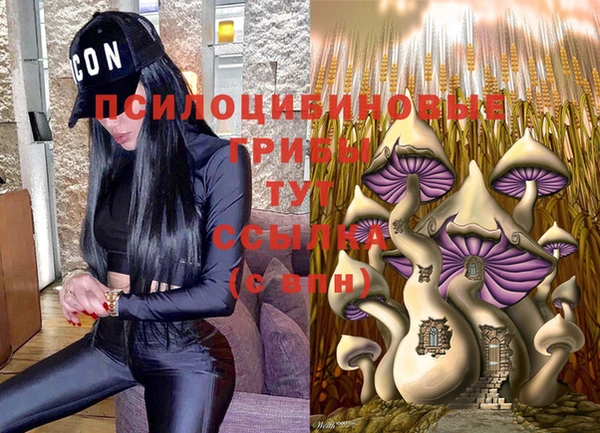 герыч Аркадак