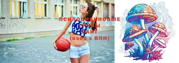 бошки Арсеньев