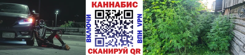 дарнет шоп  Суровикино  Канабис LSD WEED 